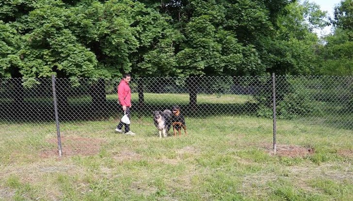 България държи първото място в Европа по заболяемост от кучешка тения