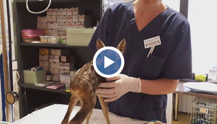 Бебе сърничка беше спасено от граждани, след като беше предлагано за продажба в найлонов плик