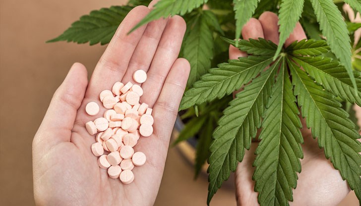 Страната декриминализира употребата на всички наркотици през 2001 г. Страната декриминализира употребата на всички наркотици през 2001 г.