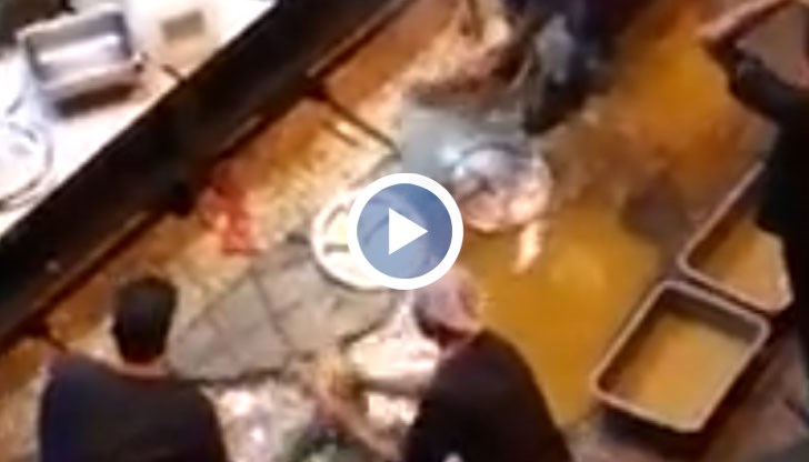 Ръководството на ресторанта увери, че хигиената и чистотата са техни основни приоритети, но проверка на санитарните служби показва точно обратното