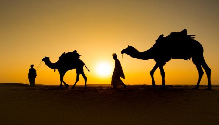 Приятелската любов ни прави по-истински Приятелската любов ни прави по-истински