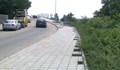 50 нови дървета трябва да "се появят" на булевард Придунавски