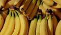 Бананите са на изчезване