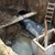 Повредиха умишлено нов водопровод в Девин