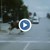 Бягащ бик предизвика хаос на булевард в Пловдив