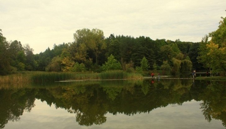 Тази нощ е постъпил сигнал за изчезнало лице във водите на езерото в лесопарка „Липник“ в с. Николово Тази нощ е постъпил сигнал за изчезнало лице във водите на езерото в лесопарка „Липник“ в с. Николово