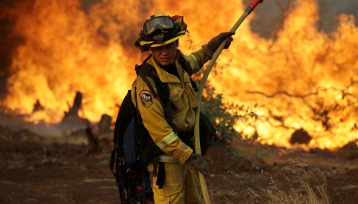 Около 12 000 пожарникари се бориха вчера с пожарите в Калифорния, отнели живота на поне шест души