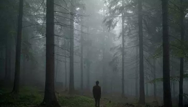 Мъжът обитава джунгла и от 22 години не е говорил с никого/Снимката е илюстративна/