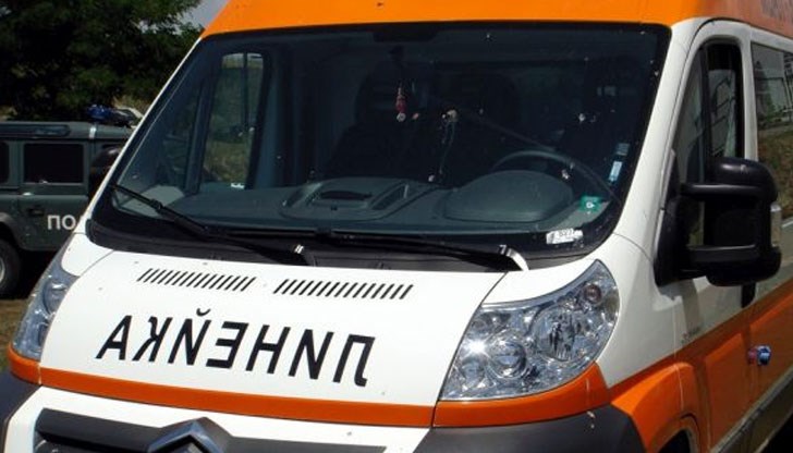 Фадрома затиснала смъртоносно мъжа, докато подготвял терен за сортиране на дървесината