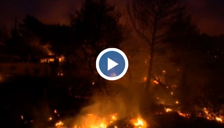 Аз нямам дом, всичко изгоря до основи