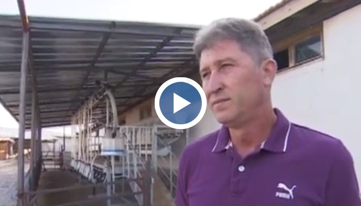 Във фермата на Йордан Трифонов бяха първите унищожени животни