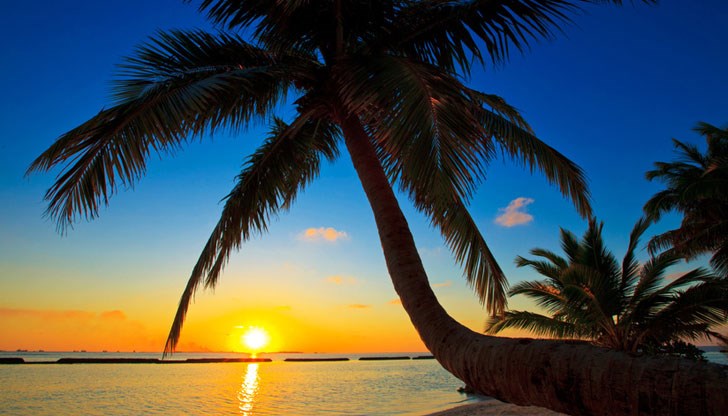 Виж месечния хороскоп за всички зодии Виж месечния хороскоп за всички зодии