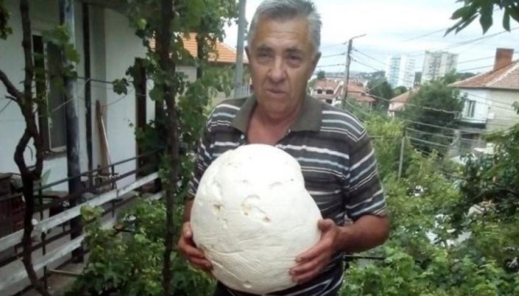 Находката тежи почти 3 килограма