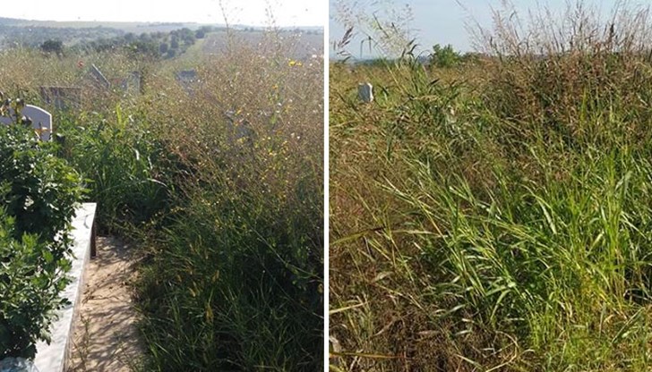 Ако някой не знае какво е това - това е гробищния парк в Басарбово