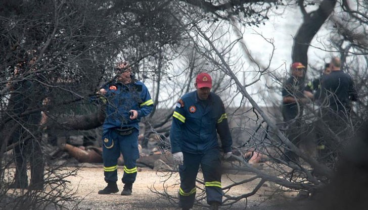 Задържаният е запалил сухи тревни площи в района на Дао Пентели, но поради силните ветрове пожарът много бързо е обхванал огромни територии