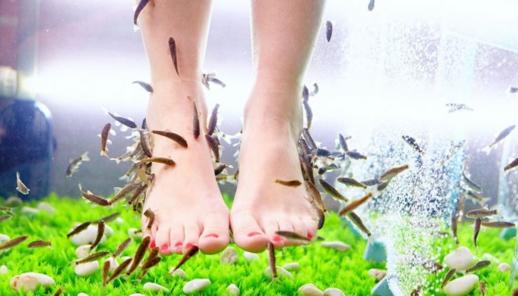 Жената е развила заболяване, при което ноктите се деформират и падат от корена Жената е развила заболяване, при което ноктите се деформират и падат от корена