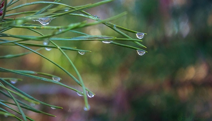 Максималните температури ще са предимно между 26 и 31 градуса Максималните температури ще са предимно между 26 и 31 градуса