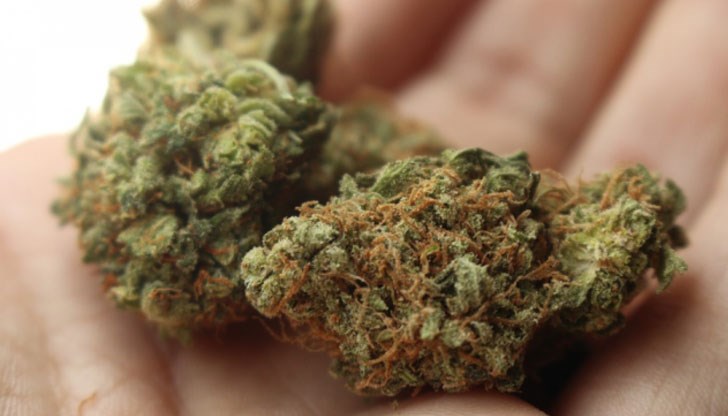 Образувано е досъдебно производство за престъпление / Снимката е илюстративна