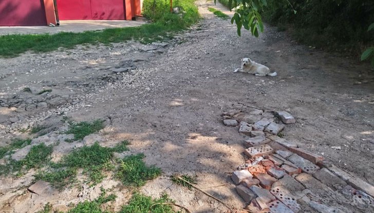 Хората, които живеят по най-дългата улица на Касева Чешма, със сигурност ще бъдат доволни, ако могат да ходят всеки ден на работа, без да си чупят превозните средства по пътя