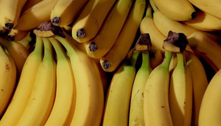 Дивите им "събратя" са ключа към оцеляването им Дивите им "събратя" са ключа към оцеляването им