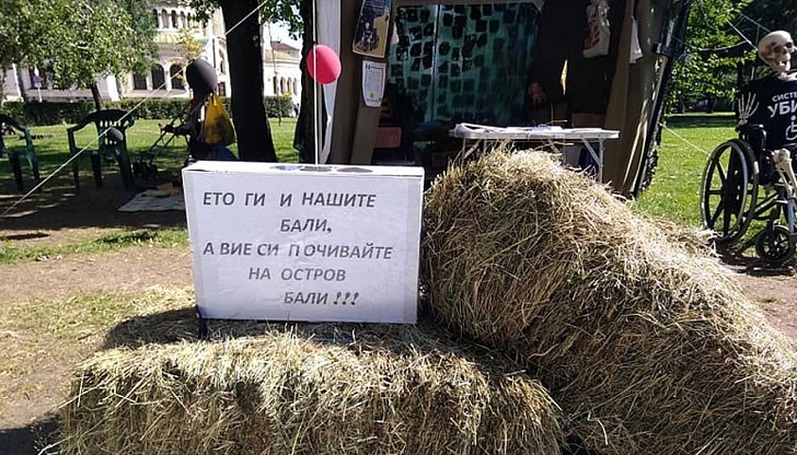 Те сложиха няколко бали сено пред палатковия лагер срещу входа на парламента