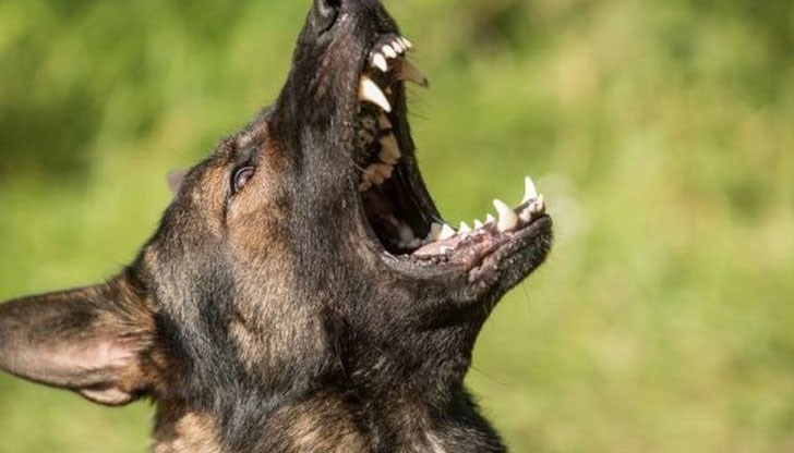 Трагичният инцидент се е случил на 25 юли