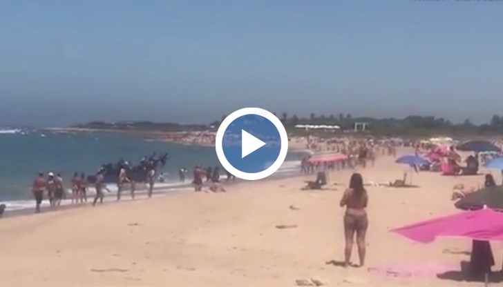 Пред погледите на шокираните туристи