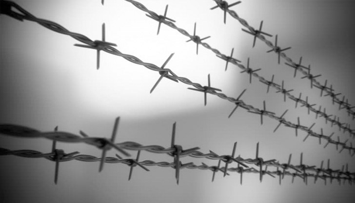 Коловете ще бъдат през два метра и половина Коловете ще бъдат през два метра и половина