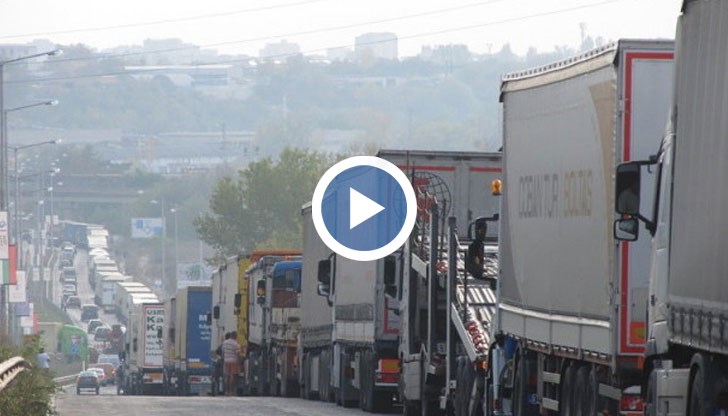 Влизат в личните стопанства, където хората отглеждат свине за лични нужди