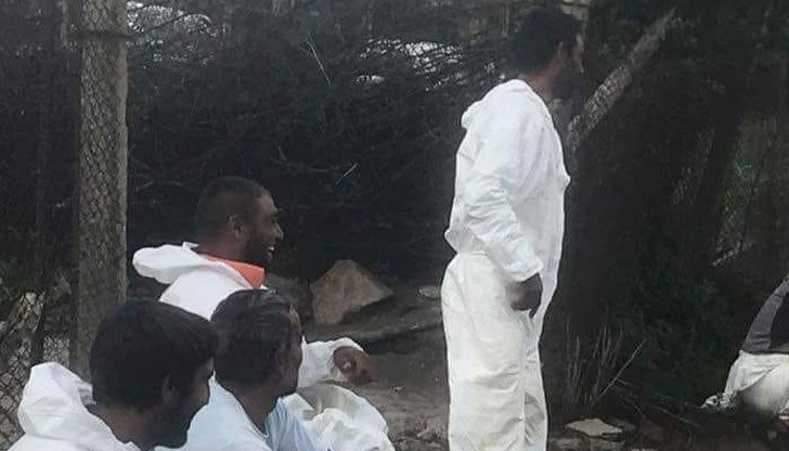 Хората са бесни, защото кадърът е направен по време на евтаназирането на овце и кози в Странджа Хората са бесни, защото кадърът е направен по време на евтаназирането на овце и кози в Странджа