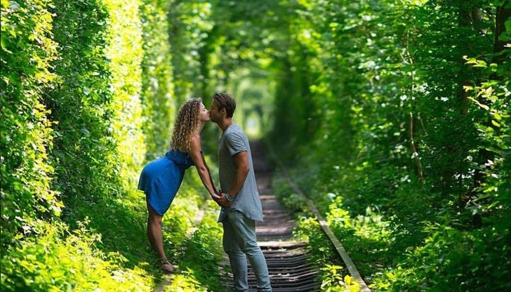 Тайнственият зелен проход от дървета е магнит за много влюбени Тайнственият зелен проход от дървета е магнит за много влюбени