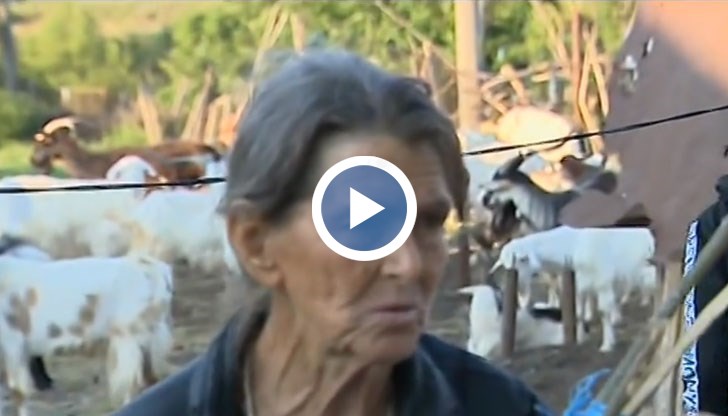 Единствено животните на Баба Дора бяха пощадени в село Шарково