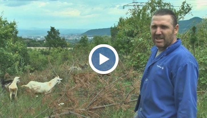 Тодор е решен да се раздели с някои от животните си, за да помогне