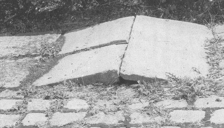 Търсят духът на свободата