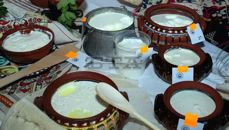 Разград посреща многобройни български и чуждестранни участници и гости за 17-то издание на Панаира на киселото мляко Разград посреща многобройни български и чуждестранни участници и гости за 17-то издание на Панаира на киселото мляко