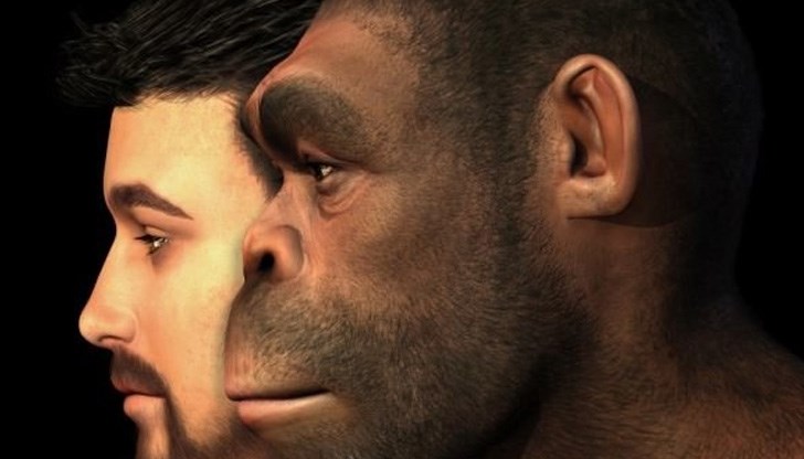 Учени заключиха, че Хомо сапиенс еволюирал не от една, а от няколко групи архаични хора