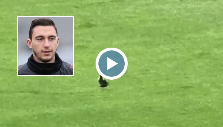 Матео Дармиан се прояви с убийство на гълъб по време на двубоя между “червените дяволи” и Сан Хосе