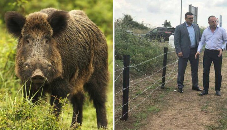 Досега изглеждаше, че ни се подиграват, сега обаче излиза, че просто са тъпанари Досега изглеждаше, че ни се подиграват, сега обаче излиза, че просто са тъпанари