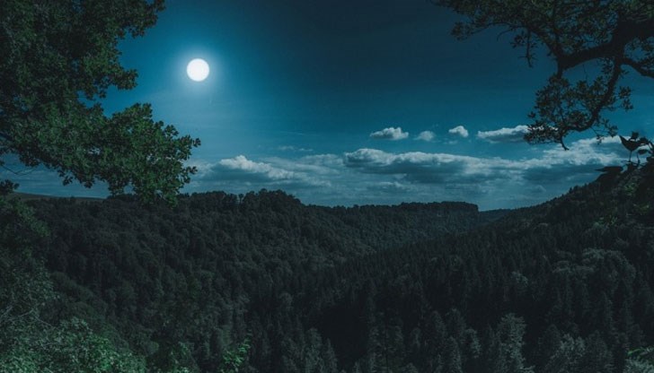 В тези дни хората изглеждат студени и безчувствени, защото се крият зад каменни маски и не изразяват емоциите си В тези дни хората изглеждат студени и безчувствени, защото се крият зад каменни маски и не изразяват емоциите си