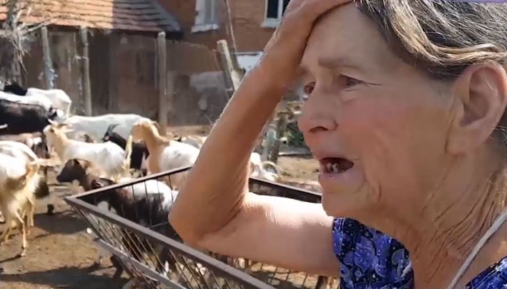 Ние вече сме заразени, разни паразити ни смучат всеки ден Ние вече сме заразени, разни паразити ни смучат всеки ден