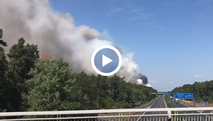 Това е най-големият пожар на борова гора в Бранденбург досега