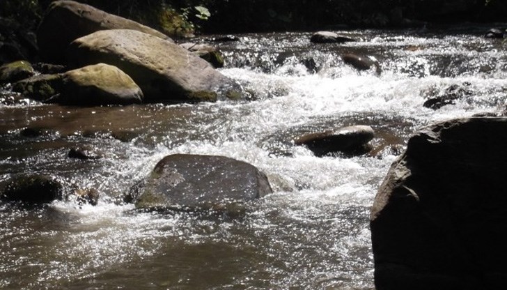 МВР издирва 6-годишната сестра на починалото дете МВР издирва 6-годишната сестра на починалото дете