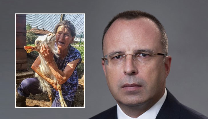 Бъдете спокойни - мляко и месо винаги ще има в големите немски супермаркети Бъдете спокойни - мляко и месо винаги ще има в големите немски супермаркети