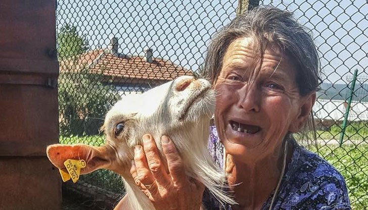 Тези очи говорят много за тези, които имат душа Тези очи говорят много за тези, които имат душа