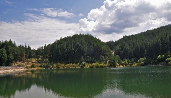 Инцидентът е станал вчера по обяд