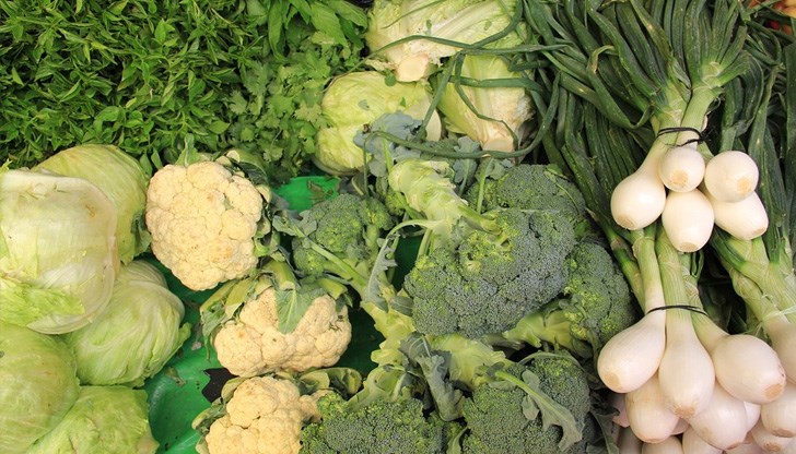 Редовната употреба на тези продукти облекчава нервната възбудимост и ни прави спокойни Редовната употреба на тези продукти облекчава нервната възбудимост и ни прави спокойни