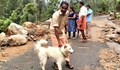 Куче спаси стопаните си при наводненията в Индия