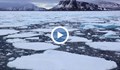Пропука се най-дебелият лед в Арктика