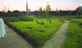 Отвориха ботаническа градина край Разград