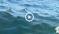 Екологична бомба цъка на дъното на Созополския залив